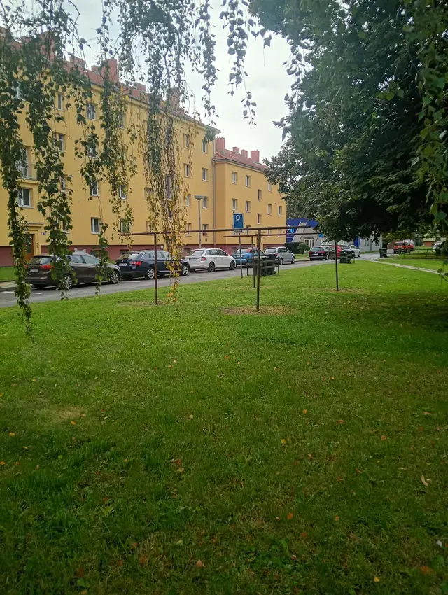 Plocha za divadlem – likvidace klepadel a po dohodě s památkáři (plocha je kulturní památka) vybudovat kolmé stání.