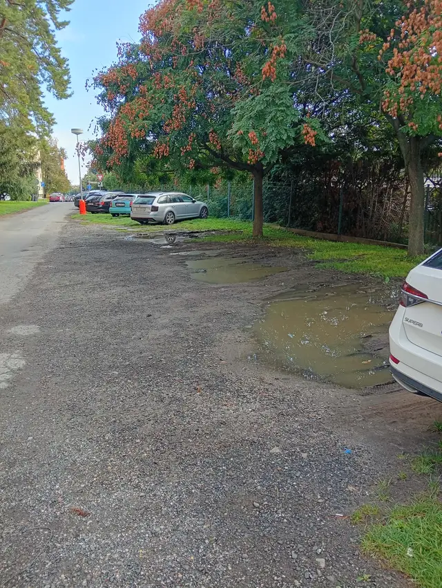 Z důvodu nedostatku míst se parkuje všude – legalizace a zkulturnění stání zatravňovacími dlaždicemi, ochrana stromů.