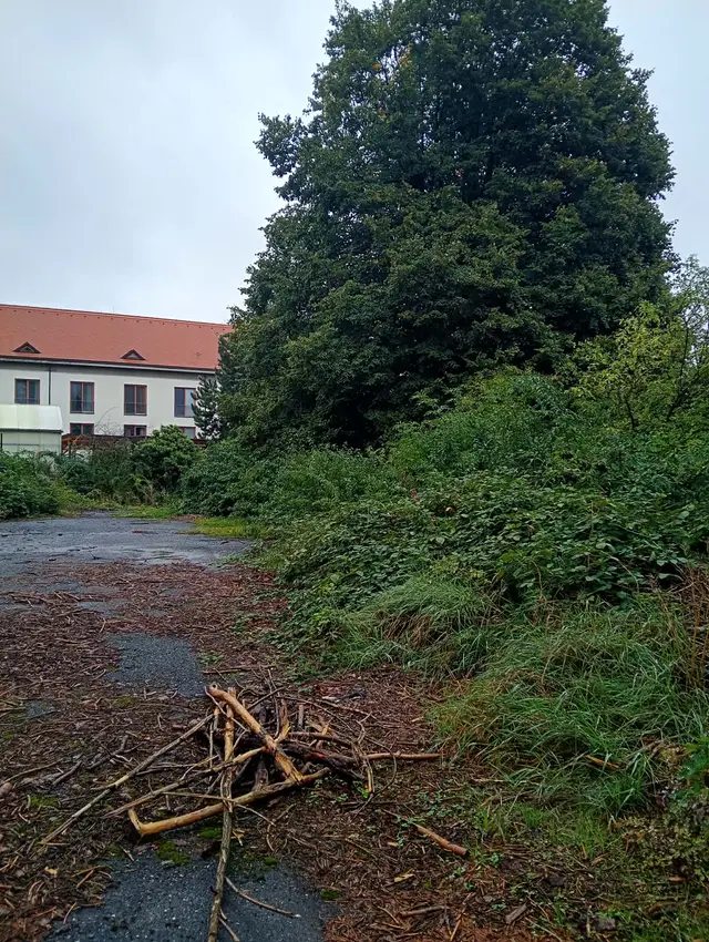 Bývalá Vojenská správa.