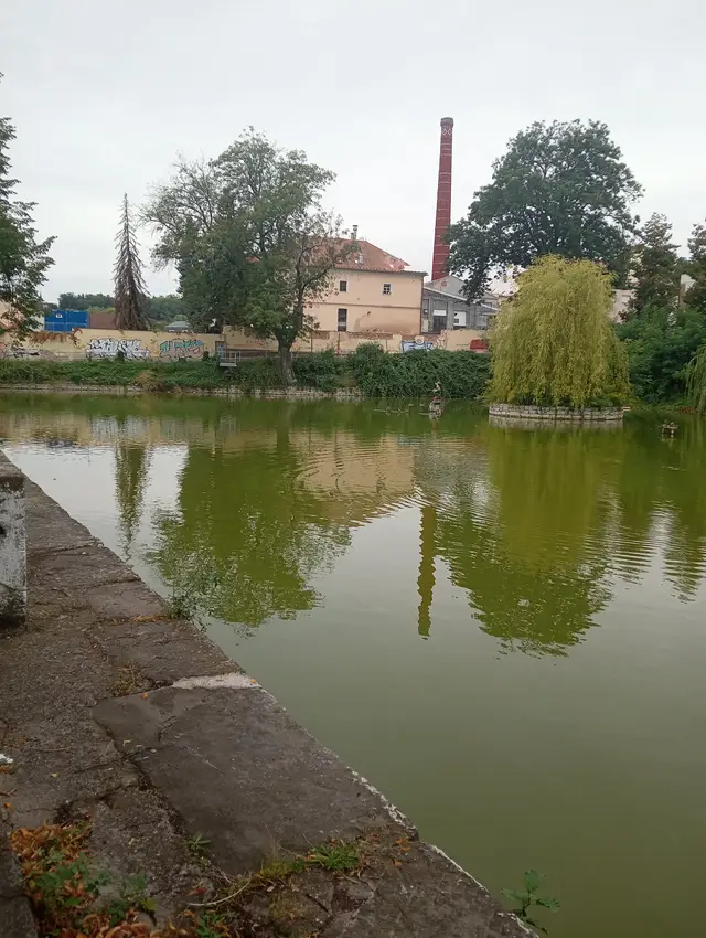 Ubývající hladina a zkažená voda v rybníčku.