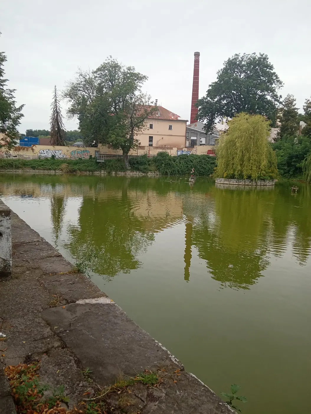Ubývající hladina a zkažená voda v rybníčku.