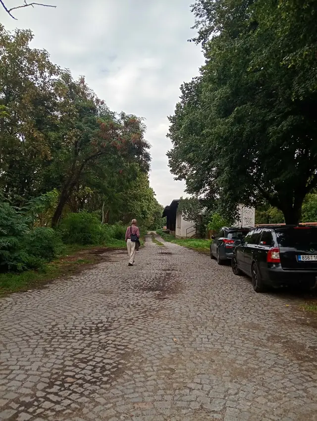 Pozemky 10 let ve vlastnictví města – parkoviště pro občany jezdící vlakem, zkulturnění.