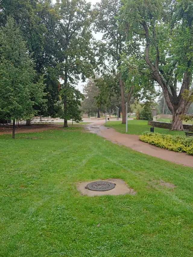 Po obvodu parku vysadit zajímavé keře a stromy – arboretum – a nechat průhledy na panorama.