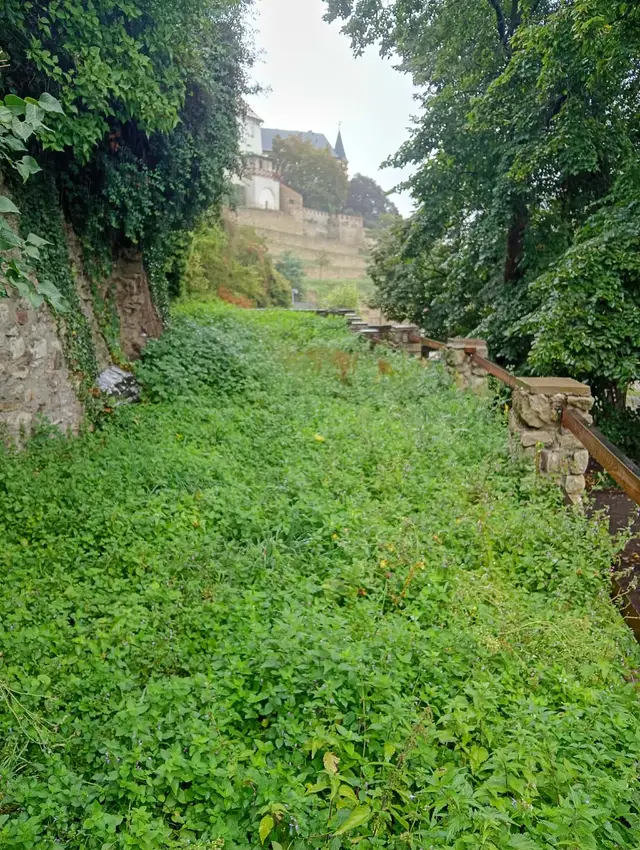 Zarostlá terasa nad občerstvením – využít všechna místa k oživení parku.