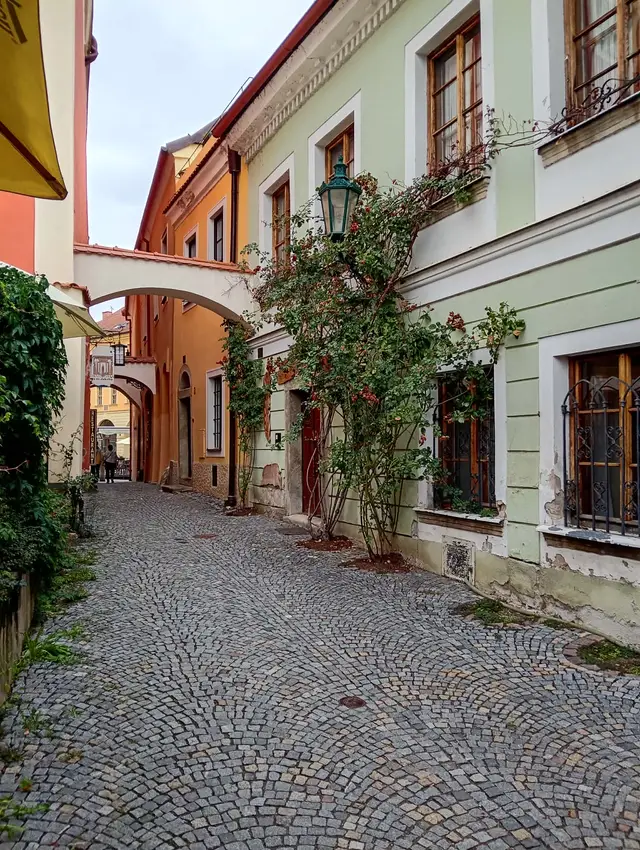 Hojně navštěvovaná a focená romantická ulička s růžemi.