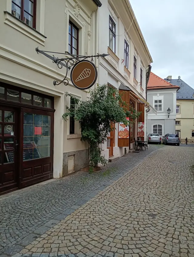 Jeden keř popínavé a kvetoucí růže může celou ulici rozzářit.