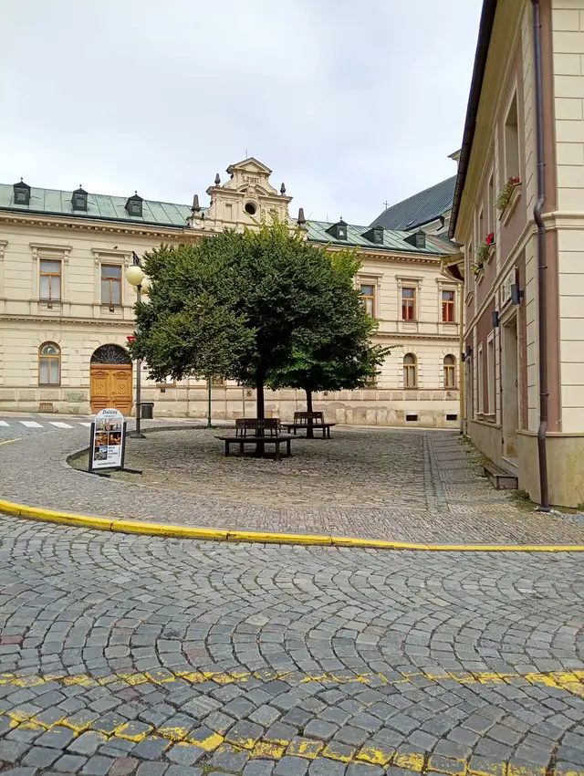 Jilmy u kašny – každý vhodně vysazený strom ve volné ploše nejen zlepší klima, ale umožní i umístění laviček a odpočinek.