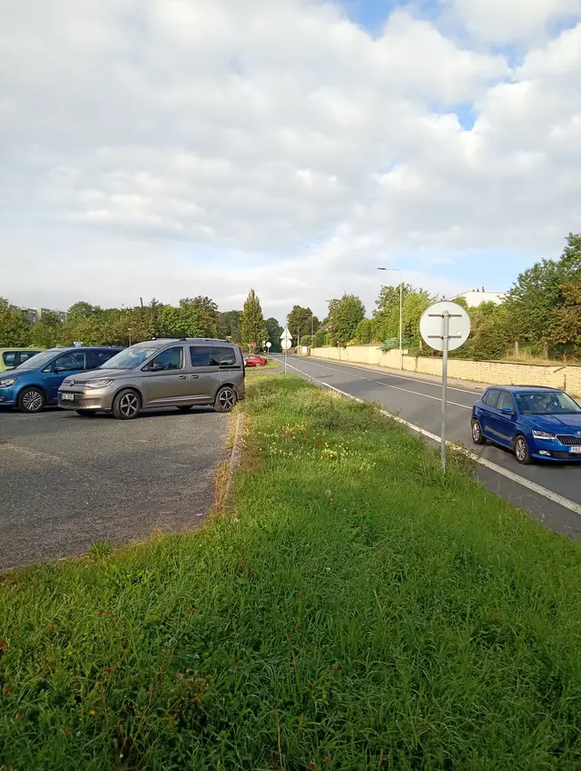 Místo pro výsadbu velkých stromů, které by stínily Kouřimskou ulici i parkoviště u polikliniky.