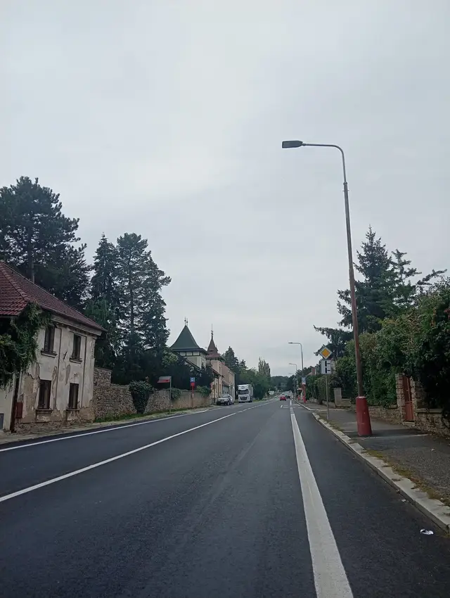 Po pravé straně Kouřimské ulice by mohly být řídce vysazené mohutné stromy podobně jako v Benešově ulici.
