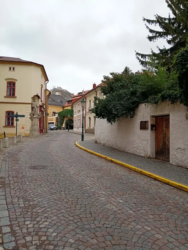 Popínavé a převislé rostliny ve městě podtrhují a zjemňují krásu architektury.