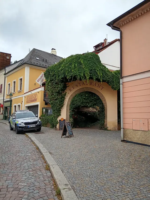 Popínavé rostliny jsou variantou tam, kde nelze sázet stromy.