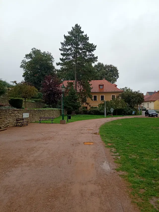 V parku je plno míst pro zajímavé dřeviny.