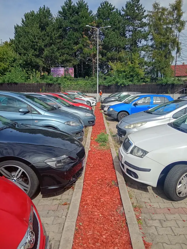Zde živořilo pár javorů – nevhodná místa, nutná náprava.