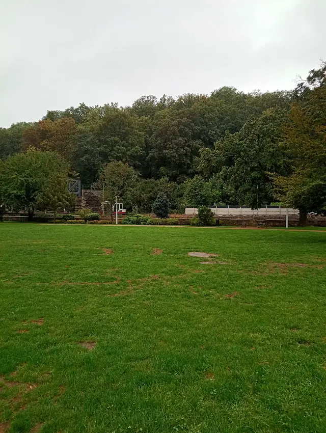Zelená centrální plocha by mohla mít prstenec ze zajímavých dřevin, které budou krášlit park po celý rok.